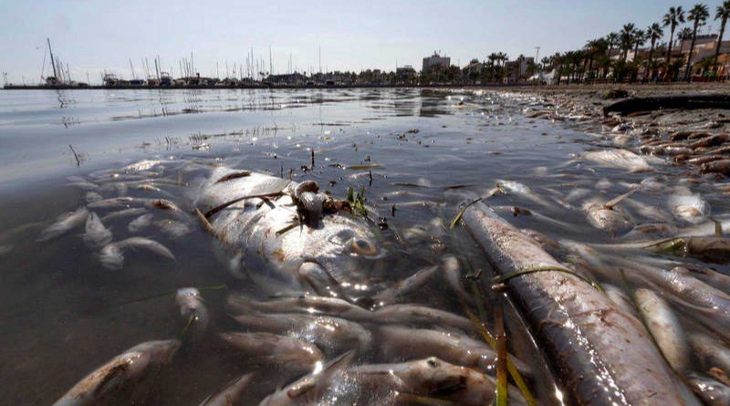 Mar Menor: an announced and provoked ecocide.