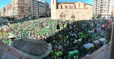 <strong>Una marea verde desbordó el País Valenciá en defensa de la educación pública</strong>