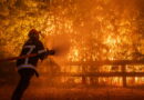 España arde: incendios, crisis climática y recortes. El capitalismo alimenta el fuego.